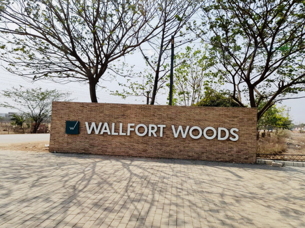 Wallfort woods phase 3